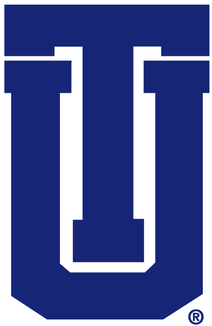 Tulsa Golden Hurricane 0-Pres Alternate Logo v2 diy iron on heat transfer